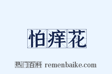 怕痒花是什么意思的图片